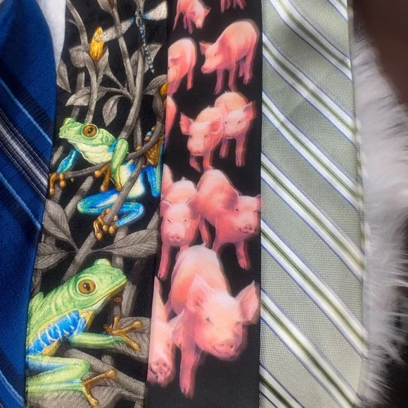 🦸‍♂️ Assorted Colorful Men's Ties - Picture 3 of 7